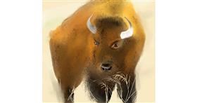 Drawing of Bison by punee