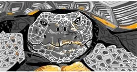 Drawing of Tortoise by Swimmer 