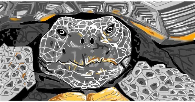 Drawing of Tortoise by Swimmer 