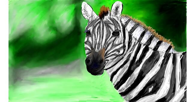 Zebra - autor: Mia