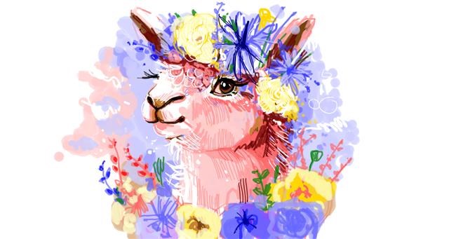 Drawing of Llama by sushi