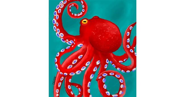 Drawing of Octopus by GreyhoundMama