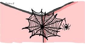 Drawing of Spider web by Astha