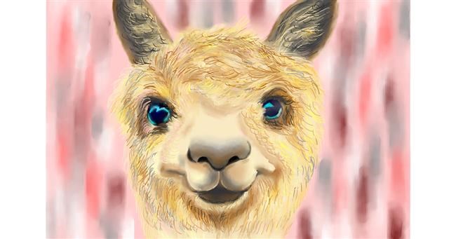 Drawing of Llama by Wizard