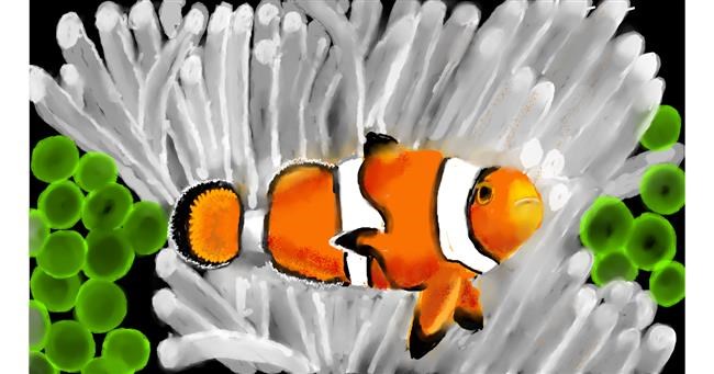 Drawing of Clownfish by SAM AKA MARGARET 🙄