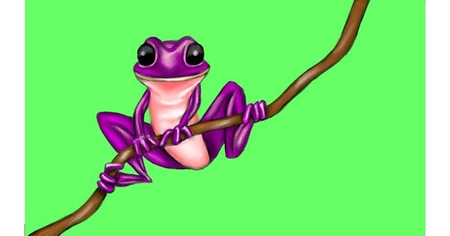 Drawing of Frog by Aminich