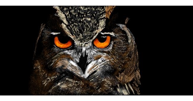 Drawing of Owl by Chaching