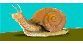 Drawing of Snail by Kim