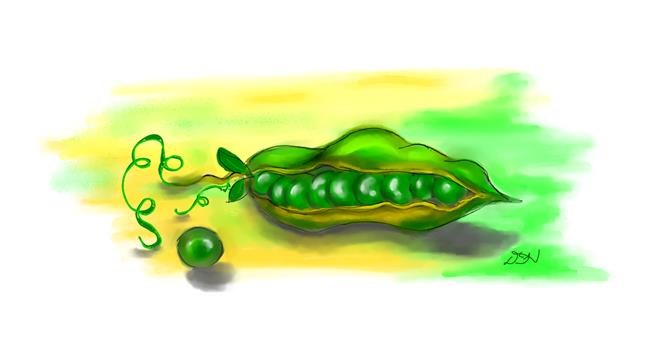 Drawing of Peas by DebbyLee