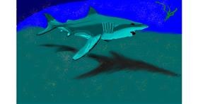 Drawing of Shark by Herbert