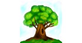 Drawing of Tree by Lou