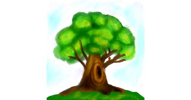 Drvo - autor: Lou