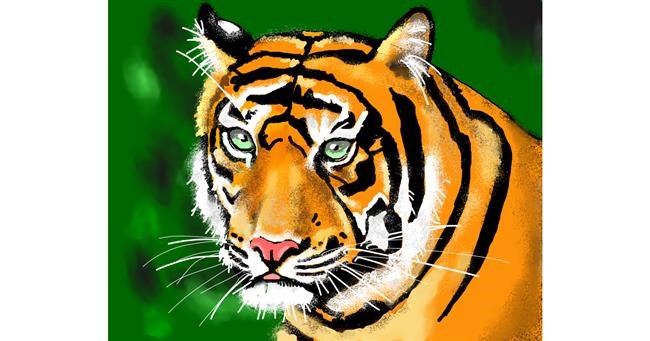 Tigar - autor: Cec