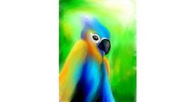 Drawing of Parrot by 🌌Mom💕E🌌