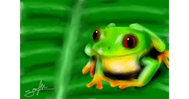 Žaba - autor: Sophie_draw24