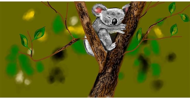 Drawing of Koala by Eclat de Lune