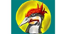 Drawing of Woodpecker by Freny