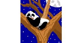 Panda - autor: jjman