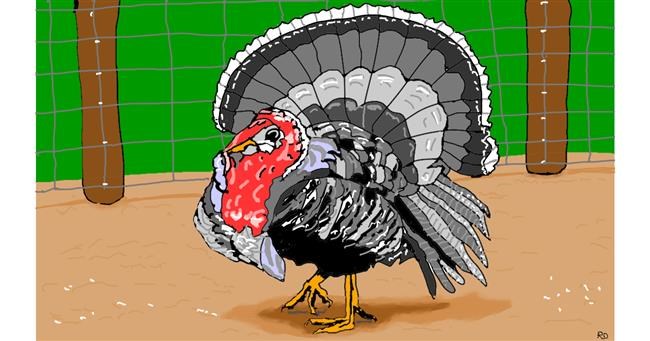 Drawing of Turkey by flowerpot