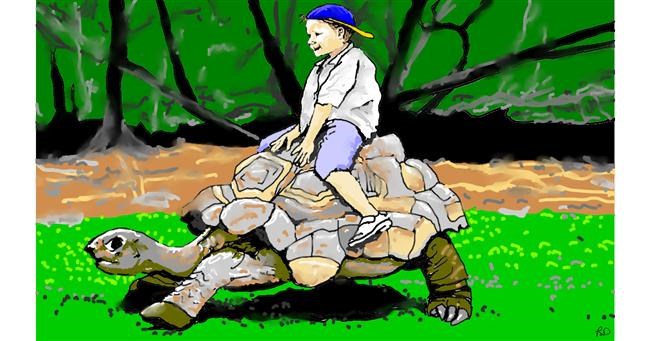Drawing of Tortoise by flowerpot