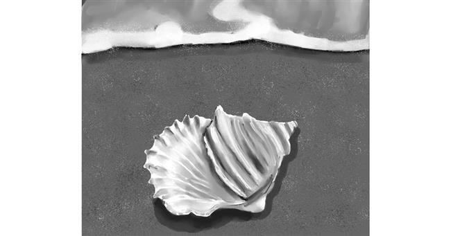 Drawing of Seashell by ImagineBastille