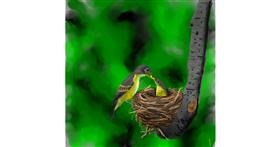 Gnijezdo - autor: Joze