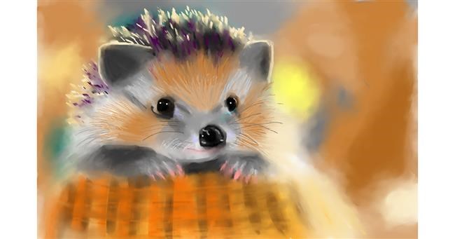 Drawing of Hedgehog by Herbert