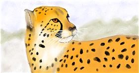 Gepard - autor: Maggy