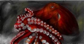 Drawing of Octopus by Mia