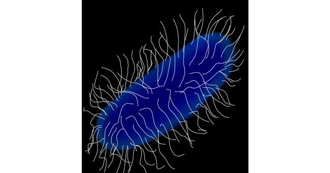 Drawing of Bacteria by MissPrincessKayKay