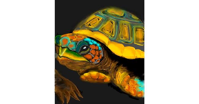 Drawing of Tortoise by Not.Old.Train
