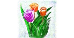 Drawing of Tulips by Fazila