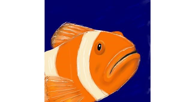 Clownfish - autor: ELLE