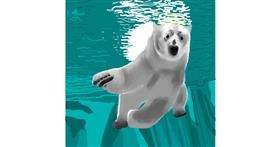 Polarni medvjed - autor: Joze