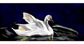 Drawing of Swan by Chaching