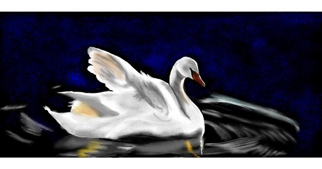 Drawing of Swan by Chaching