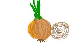 Drawing of Onion by Firsttry