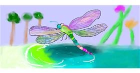 Vilin konjic - autor: Magic Mushroom