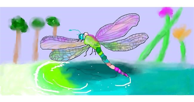 Drawing of Dragonfly by Magic Mushroom