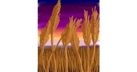Drawing of Wheat by 🌌Mom💕E🌌
