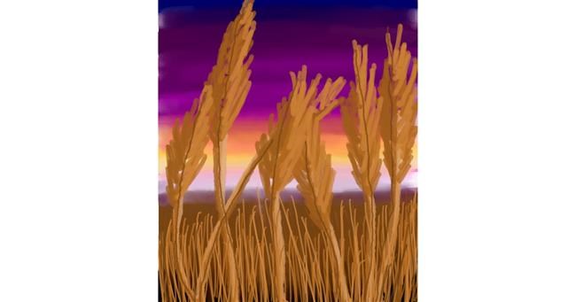 Drawing of Wheat by 🌌Mom💕E🌌