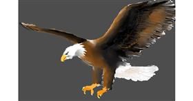 Drawing of Eagle by Kiwi