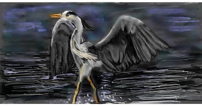 Drawing of Stork by Mea