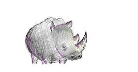 Drawing of Rhino by coconut