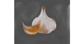 Knoblauch-Zeichnung von Philip