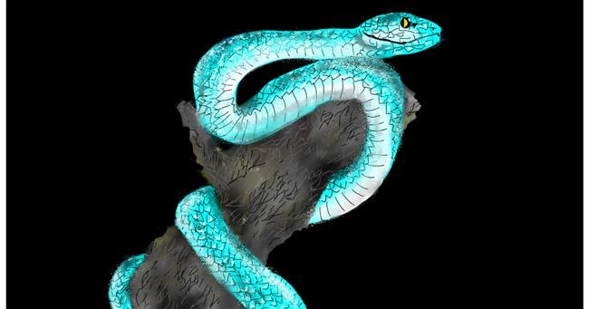 Drawing of Snake by Eclat de Lune