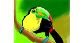 Drawing of Toucan by Yashi 🐢