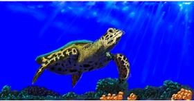 Drawing of Sea turtle by Humo de copal