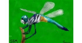 Drawing of Dragonfly by Banana