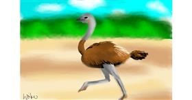 Drawing of Ostrich by Kiu